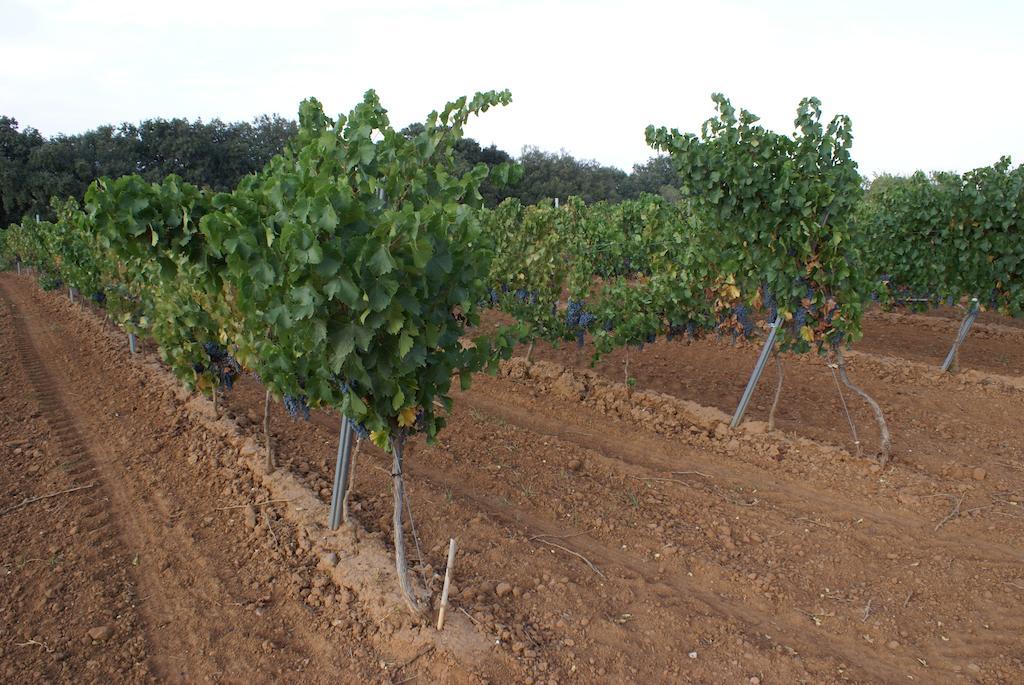 ויאפמס Casa Rural Magnanimvs מראה חיצוני תמונה