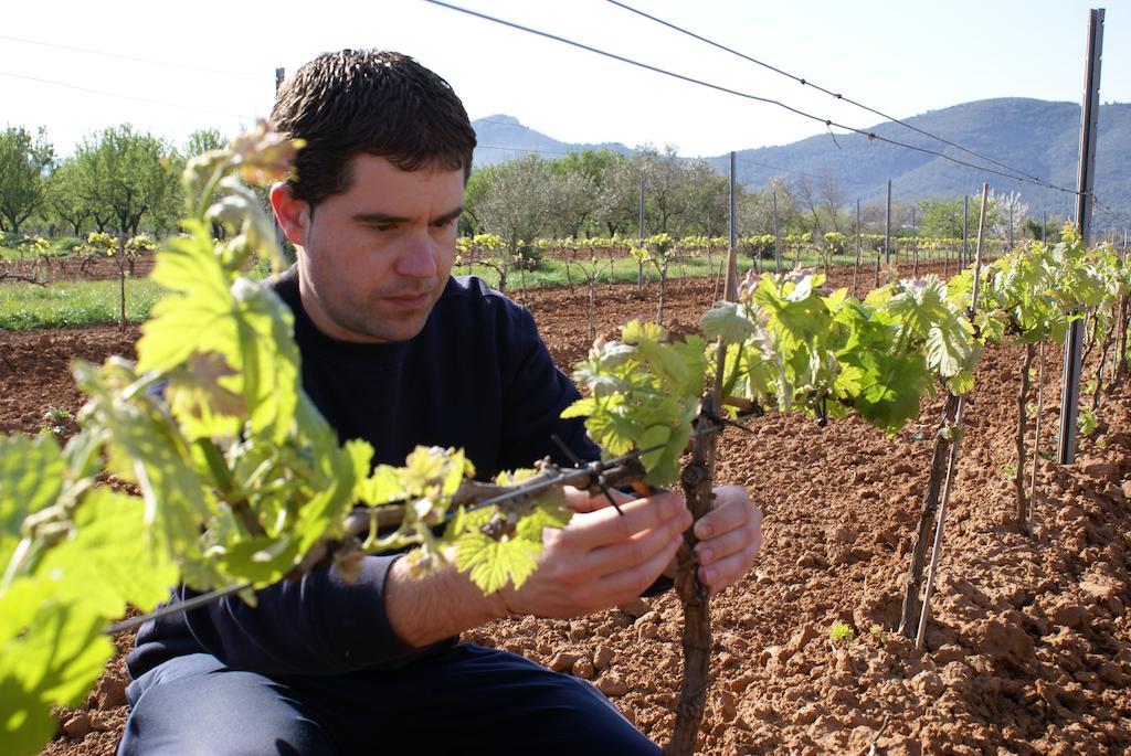 ויאפמס Casa Rural Magnanimvs מראה חיצוני תמונה